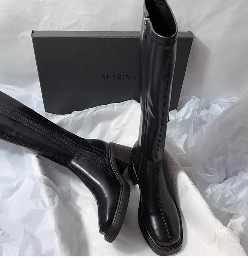 Vintage Thick Heel Women Knee High Boots Fashion Side Zippers Shoes Autumn Winter Ladies Concise Long Botas De Mujer