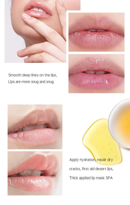 6 Kinds of Fruity Lip Balm Moisturizing Hydrating Long Lasting Lip Lotion Lightening Lip Lines Lips Mask Care Lips Lipstick Balm