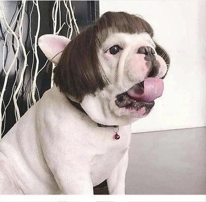 Pet Wigs Cosplay Props Dog Cat Cross-Dressing Hair Set Photography Funny Props Head Accessories Prank Pet Supplies Costumes DIY