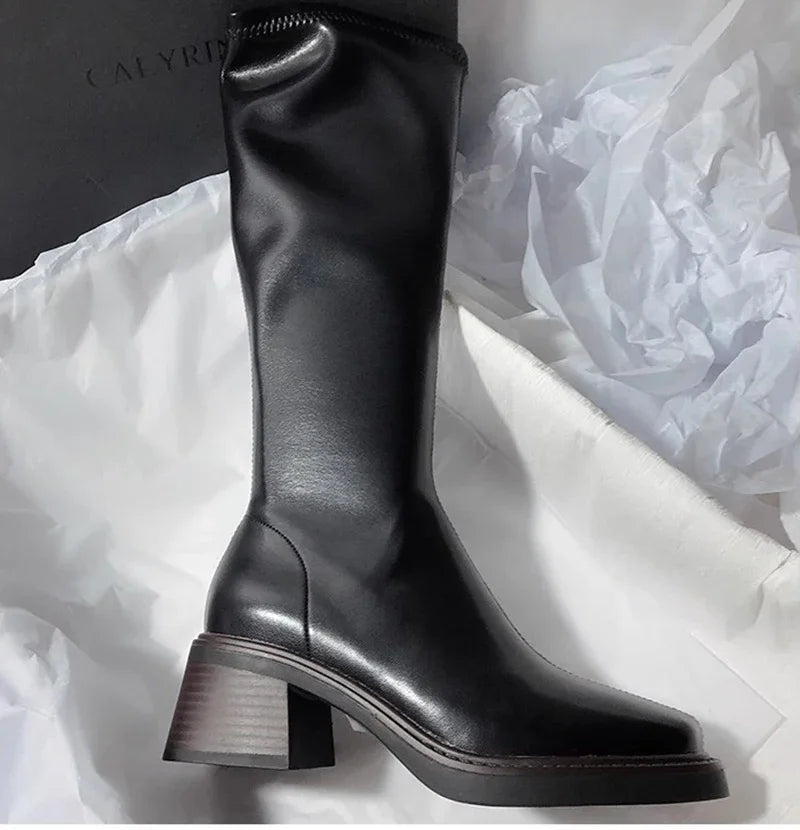 Vintage Thick Heel Women Knee High Boots Fashion Side Zippers Shoes Autumn Winter Ladies Concise Long Botas De Mujer
