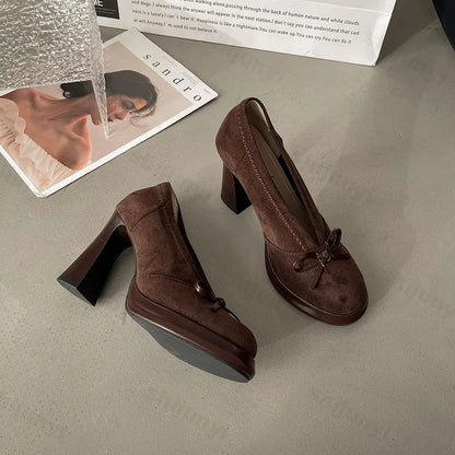 Women's High Heels 2025 Spring Autumn New Vintage Fashion Bow Knot Party Chunky Heels Outdoor Non Slip Luxury Mary Jane Shoes