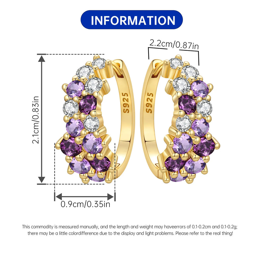 PANPOKI S925 Sterling Silver Purple Zircon Series Earrings Hoop Earrings For Women Jewelry Original Party Trendy Gifts