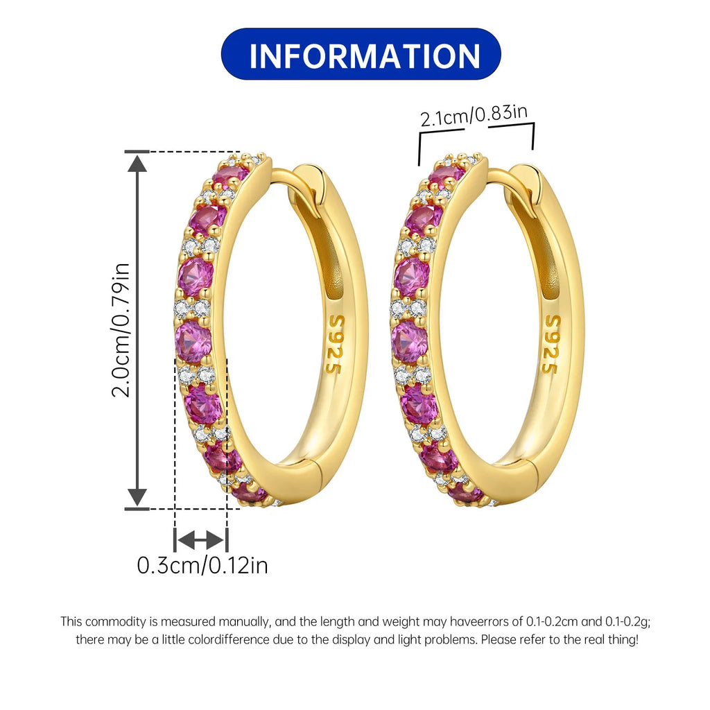 PANPOKI S925 Sterling Silver Purple Zircon Series Earrings Hoop Earrings For Women Jewelry Original Party Trendy Gifts