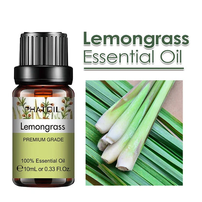 PHATOIL 10ml Ginger Essential Oil for Perfume Candles Making Spa Massage Humidifier Rose Jasmine Pine Needles Tangerine Thyme