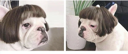 Pet Wigs Cosplay Props Dog Cat Cross-Dressing Hair Set Photography Funny Props Head Accessories Prank Pet Supplies Costumes DIY