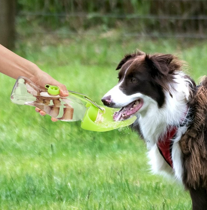 Portable Pet Water Bottle